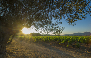 SAMEDI 9H LA CATILLE